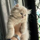 (Kategori: ) berada di . Dikirim oleh prelovedby.za (ID iklan 1383962310, Gambar 1). Deskripsi: .