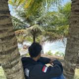 (Kategori: ) berada di . Dikirim oleh agusfirmansyah08 (ID iklan 1384805393, Gambar 1). Deskripsi: .