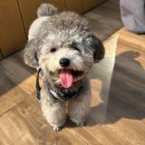 （分類：）位於 。 由 duncan_007 提交（商品編號 1384107170，圖片 1）。簡介： 。