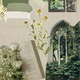 （分類：）位於 。 由 leafy_fragrance 提交（商品編號 1385402480，圖片 1）。簡介： 。