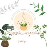 (Kategori: ) berada di . Dikirim oleh pupukcairo67157 (ID iklan 1385491834, Gambar 1). Deskripsi: .