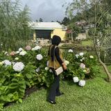 (Kategori: ) berada di . Dikirim oleh rafrahma77 (ID iklan 1384320358, Gambar 1). Deskripsi: .