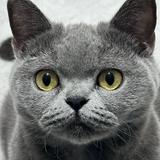 由 jessie970304772 (刊登 ID 1384344043，圖片 1) 提交，位於 的 (類別：)，說明：。