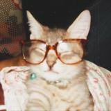 (Category: ) located in . Submitted by keyset (Listing ID 1346388293, Image 1). Description: .