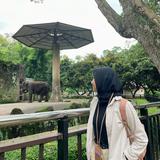 (Kategori: ) berada di . Dikirim oleh laileekl (ID iklan 1386546247, Gambar 1). Deskripsi: .