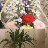 (Kategori: ) berada di . Dikirim oleh prelovedtata1 (ID iklan 1378066001, Gambar 1). Deskripsi: .
