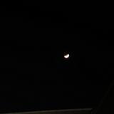 (Category: ) located in . Submitted by qtpimple (Listing ID 1384656747, Image 1). Description: .