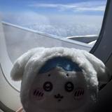 由 lps0408 (刊登 ID 1384501124，圖片 1) 提交，位於 的 (類別：)，說明：。