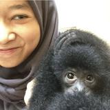 (Kategori: ) berada di . Dikirim oleh alsyazaniakram (ID iklan 1384760757, Gambar 1). Deskripsi: .