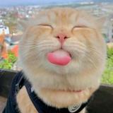 (Kategori: ) berada di . Dikirim oleh beliprelovedyukk (ID iklan 1385189281, Gambar 1). Deskripsi: .