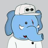 由 elephant_shop (刊登 ID 1378903763，圖片 1) 提交，位於 的 (類別：)，說明：。