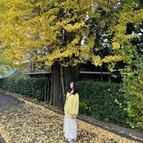 由 may01327 (刊登 ID 1384459207，圖片 1) 提交，位於 的 (類別：)，說明：。