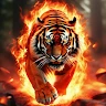 (分類:)位於 。 由 mrtiger30034026 提交(商品編號 1439007400,圖片 1)。簡介: 。
