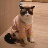 由 sandy9112 (刊登 ID 1379845631，圖片 1) 提交，位於 的 (類別：)，說明：。