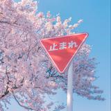 由 yuuuuutingfish (刊登 ID 1384568651，圖片 1) 提交，位於 的 (類別：)，說明：。