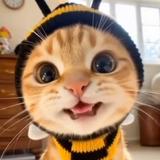 (Kategori: ) berada di . Dikirim oleh mimu.id (ID iklan 1380789690, Gambar 1). Deskripsi: .