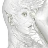 由 rose1nmyheart (刊登 ID 1382728928，圖片 1) 提交，位於 的 (類別：)，說明：。
