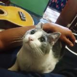 (Kategori: ) berada di . Dikirim oleh shamsul4 (ID iklan 1380082415, Gambar 1). Deskripsi: .