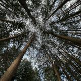 （分類：）位於 。 由 leeobuutt 提交（商品編號 1384910210，圖片 1）。簡介： 。