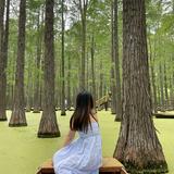 (Kategori: ) berada di . Dikirim oleh cherreyxxx (ID iklan 1384305943, Gambar 1). Deskripsi: .