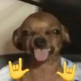 （分類：）位於 。 由 imlittledog 提交（商品編號 1384923896，圖片 1）。簡介： 。