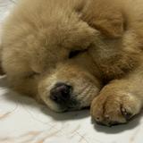 (Category: ) located in . Submitted by jeffdgr8 (Listing ID 1385753841, Image 1). Description: .