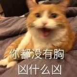 由 onni638 (刊登 ID 1384928258，圖片 1) 提交，位於 的 (類別：)，說明：。