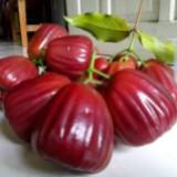 (Kategori: ) berada di . Dikirim oleh rifa985 (ID iklan 1385015105, Gambar 1). Deskripsi: .