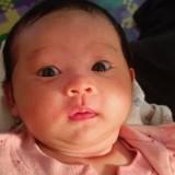 (Kategori: ) berada di . Dikirim oleh stationn9741640 (ID iklan 1384884400, Gambar 1). Deskripsi: .