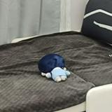 由 _lil.guo (刊登 ID 1386507079，圖片 1) 提交，位於 的 (類別：)，說明：。