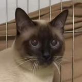 （分類：）位於 。 由 ma_tommy 提交（商品編號 1314425334，圖片 1）。簡介： 。
