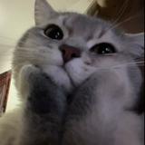 (Category: ) located in . Submitted by miyuh_ (Listing ID 1386164355, Image 1). Description: .