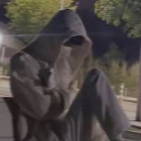 由 yuuu_87 (刊登 ID 1385164528，圖片 1) 提交，位於 的 (類別：)，說明：。