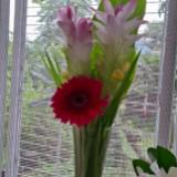 (Category: ) located in . Submitted by tev47683771 (Listing ID 1458901971, Image 1). Description: .