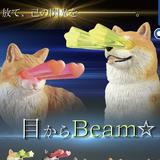 由 aaa4180 (刊登 ID 1385406409，圖片 1) 提交，位於 的 (類別：)，說明：。