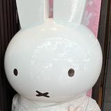 由 nana.1025 (刊登 ID 1377126261，圖片 1) 提交，位於 的 (類別：)，說明：。