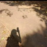 由 shau880519 (刊登 ID 1372124748，圖片 1) 提交，位於 的 (類別：)，說明：。