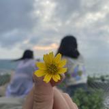 由 username0923 (刊登 ID 1385373813，圖片 1) 提交，位於 的 (類別：)，說明：。