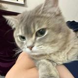 (Category: ) located in . Submitted by j.jingwxn_ (Listing ID 1385692652, Image 1). Description: .