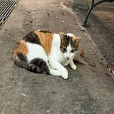 (Category: ) located in . Submitted by cateyes00 (Listing ID 1385660113, Image 1). Description: .