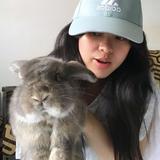 (Kategori: ) berada di . Dikirim oleh chkapreloved (ID iklan 1383779046, Gambar 1). Deskripsi: .