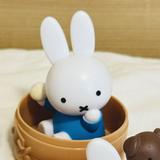 由 damaichu (刊登 ID 1385718630，圖片 1) 提交，位於 的 (類別：)，說明：。