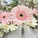 (Kategori: ) berada di . Dikirim oleh flowpreloved13 (ID iklan 1385704940, Gambar 1). Deskripsi: .