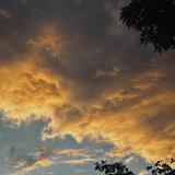 (Category: ) located in . Submitted by isseiawus (Listing ID 1385643391, Image 1). Description: .