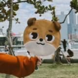 由 kercoco55 (刊登 ID 1383811968，圖片 1) 提交，位於 的 (類別：)，說明：。