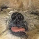 (Category: ) located in . Submitted by sample_only (Listing ID 1231510677, Image 1). Description: .