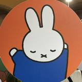 由 zwanzigs (刊登 ID 1379475914，圖片 1) 提交，位於 的 (類別：)，說明：。