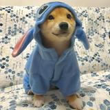 (Category: ) located in . Submitted by hehexiaolongbao (Listing ID 1323610716, Image 1). Description: .