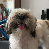 (Category: ) located in . Submitted by justmely (Listing ID 1386327384, Image 1). Description: .