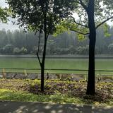 (Category: ) located in . Submitted by user1234zk (Listing ID 1385852089, Image 1). Description: .